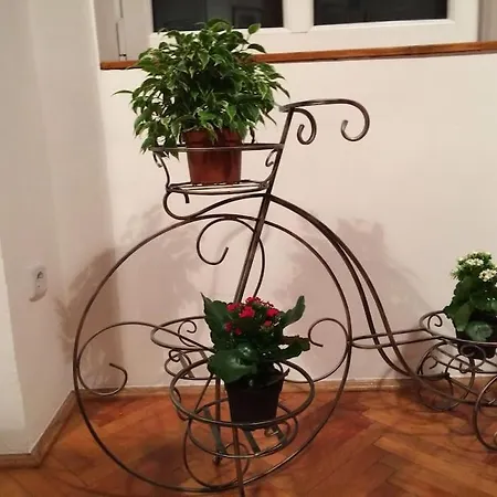 Apartament Quiet At Synagogue *